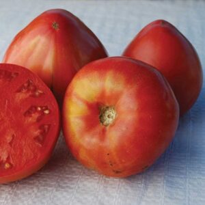 Bread and Salt (determinate)