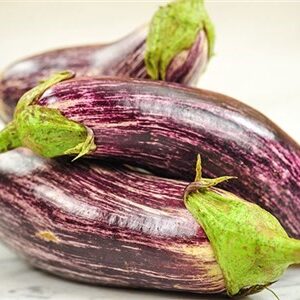 Erdine Purple Striped