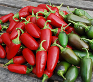 Jalapeno, Traveler's Strain