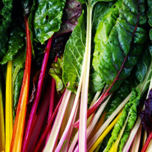Rainbow Swiss Chard (4-pack)