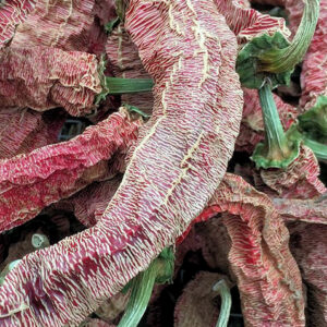 Macedonian Grilling Pepper