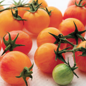 Tropical Sunset (yellow-pink)