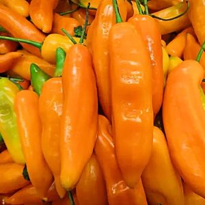 Aji Limo