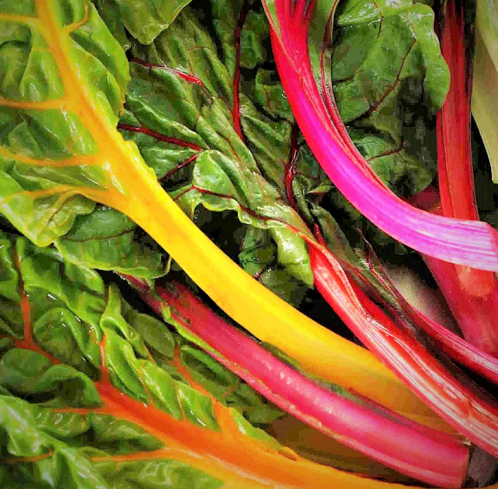 Bright Lights Chard (4-pack)