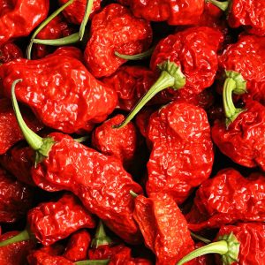 Carolina Reaper