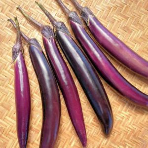 Poamoho Purple Long