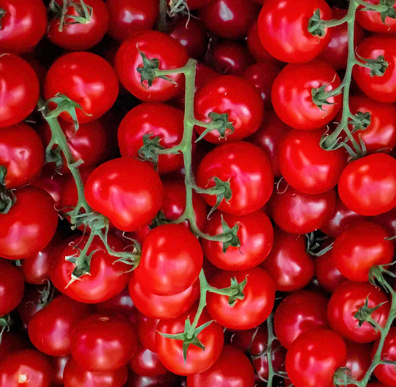Sweet Apertif Cherry